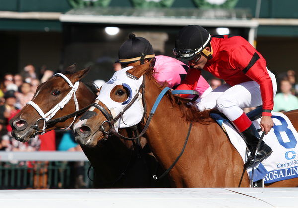 DBbet Horse Racing Betting